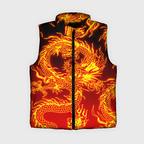 Женский жилет ДРАКОН / 3D-Черный – фото 1