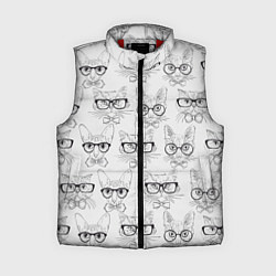 Женский жилет Кошки в очках