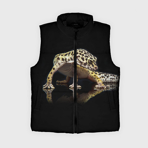 Женский жилет ЭУБЛЕФАР EUBLEPHARIS / 3D-Черный – фото 1