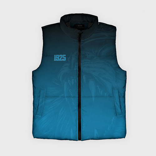 Женский жилет 1925 SPB Lion Dark Theme / 3D-Черный – фото 1