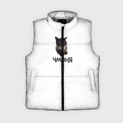 Женский жилет Кот чмоня / 3D-Светло-серый – фото 1