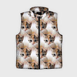 Женский жилет Маленький котенок паттерн