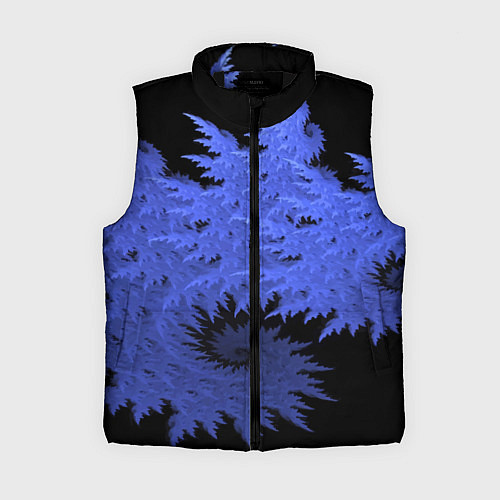 Женский жилет Абстрактный морозный узор Abstract frost pattern / 3D-Черный – фото 1