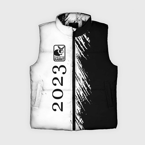 Женский жилет Кролик 2023 в рамочке: по-вертикали / 3D-Черный – фото 1