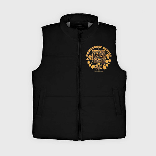Женский жилет Surgeon of death Trafalgar D Water Law / 3D-Светло-серый – фото 1