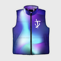 Женский жилет Doom northern cold, цвет: 3D-черный