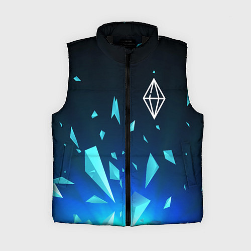 Женский жилет The Sims взрыв частиц / 3D-Черный – фото 1