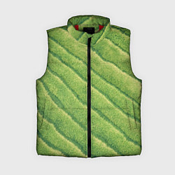 Женский жилет Травяной паттерн, цвет: 3D-красный