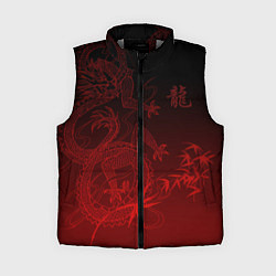 Женский жилет Дракон в градиенте, цвет: 3D-светло-серый