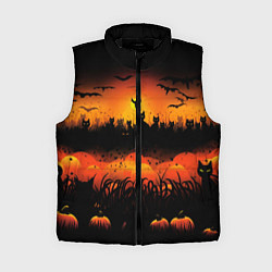 Женский жилет Кошки хэллоуина