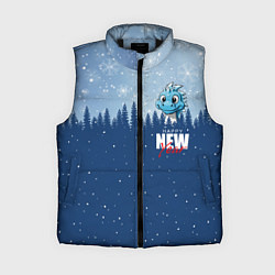 Женский жилет Дракон в зимнем лесу, цвет: 3D-черный