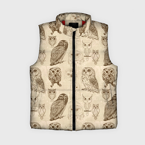 Женский жилет Эскизы сов тетрадный лист в клетку / 3D-Красный – фото 1