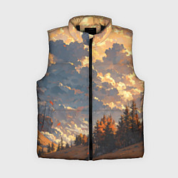 Женский жилет Вечерний закат - аниме, цвет: 3D-черный