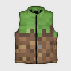 Женский жилет Earth - Minecraft, цвет: 3D-черный