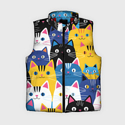 Женский жилет Много цветных котиков