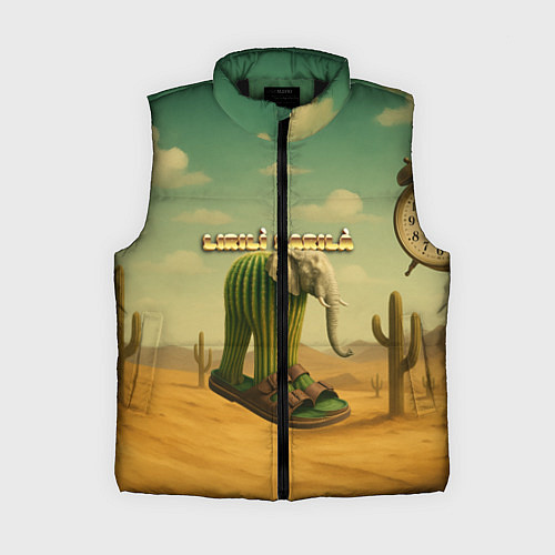 Женский жилет Lirili Larila мем / 3D-Черный – фото 1