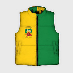 Женский жилет Новокузнецк, зелёно-жёлтый, герб и надпись на спин, цвет: 3D-черный