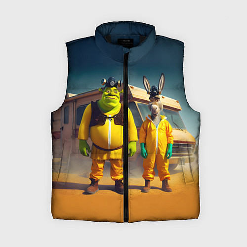 Женский жилет Шрек и Данки пустились во все тяжкие / 3D-Черный – фото 1