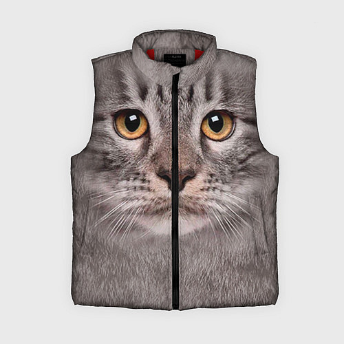 Женский жилет Котик / 3D-Красный – фото 1