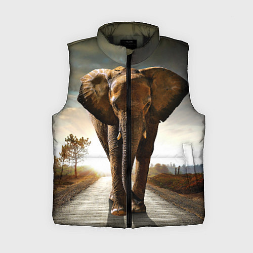 Женский жилет Дикий слон / 3D-Черный – фото 1