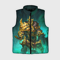 Женский жилет Wraith King, цвет: 3D-черный
