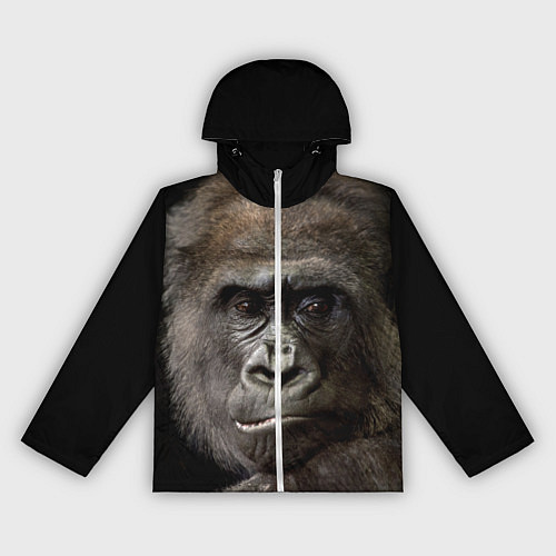 Женская ветровка Глаза гориллы / 3D-Белый – фото 1