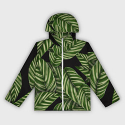 Ветровка с капюшоном женская Тропические большие листья, цвет: 3D-белый