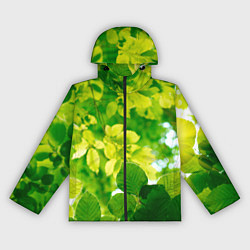 Ветровка с капюшоном женская Листья, цвет: 3D-черный