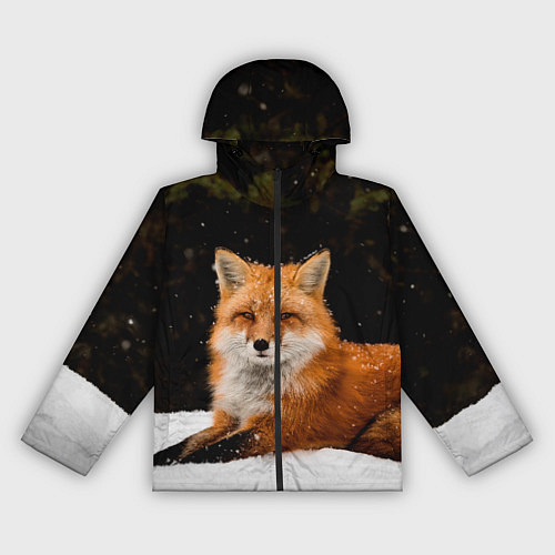 Женская ветровка Лиса и снег / 3D-Черный – фото 1