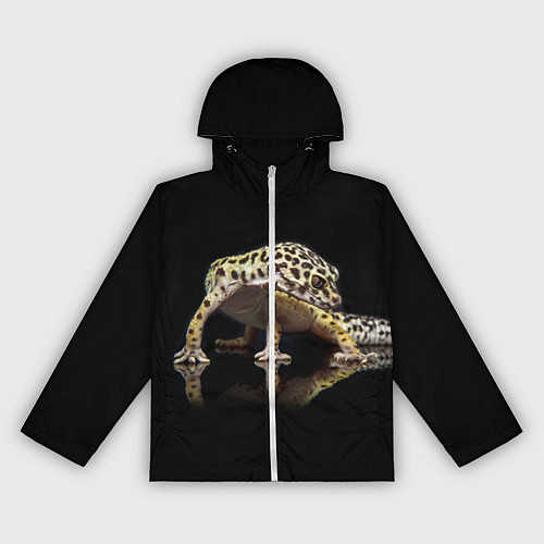 Женская ветровка ЭУБЛЕФАР EUBLEPHARIS / 3D-Белый – фото 1