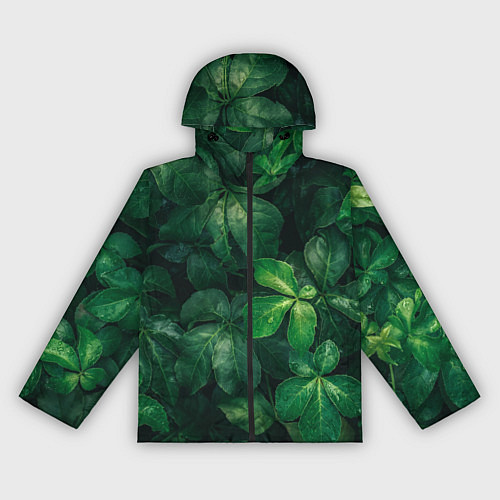 Женская ветровка Тропическая листва Тропики Z / 3D-Черный – фото 1