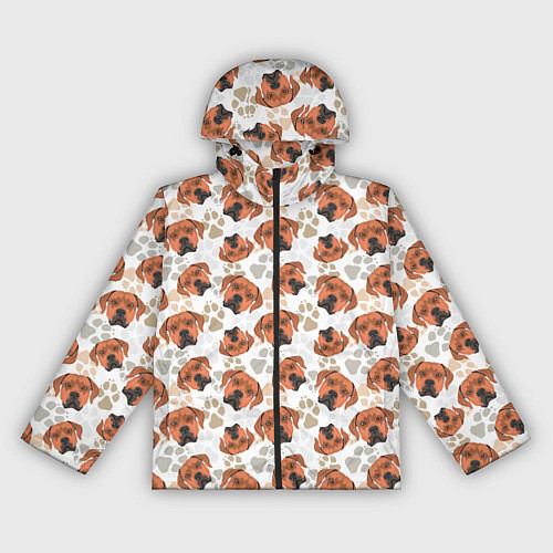 Женская ветровка Собака Родезийский Риджбек / 3D-Черный – фото 1