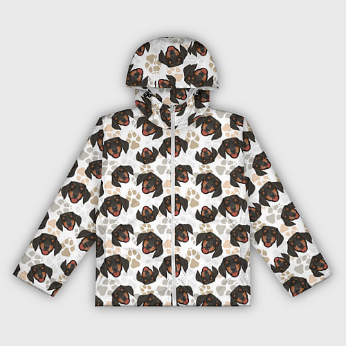 Женская ветровка Такса Dachshund Dog / 3D-Белый – фото 1