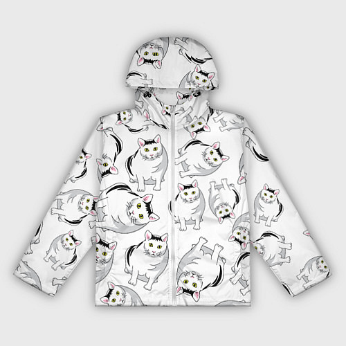Женская ветровка КОТИКИ МЕМ МЯУ / 3D-Белый – фото 1