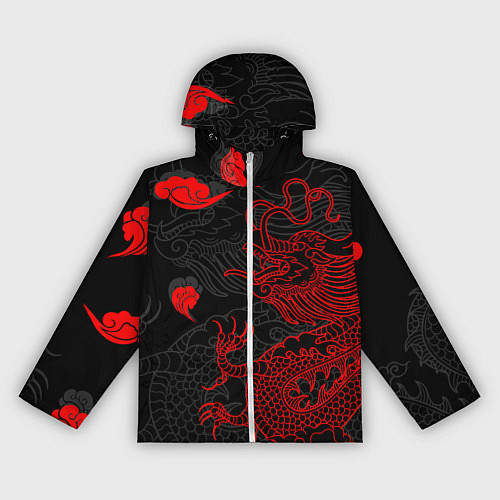 Женская ветровка Дракон Китайский дракон / 3D-Белый – фото 1