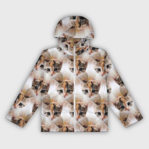 Женская ветровка Маленький котенок паттерн / 3D-Белый – фото 1