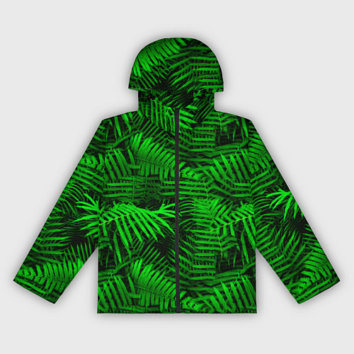 Женская ветровка Листья папоротника - текстура / 3D-Черный – фото 1