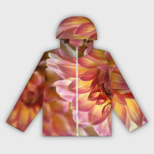 Женская ветровка Оранжевые георгины лепестки / 3D-Белый – фото 1