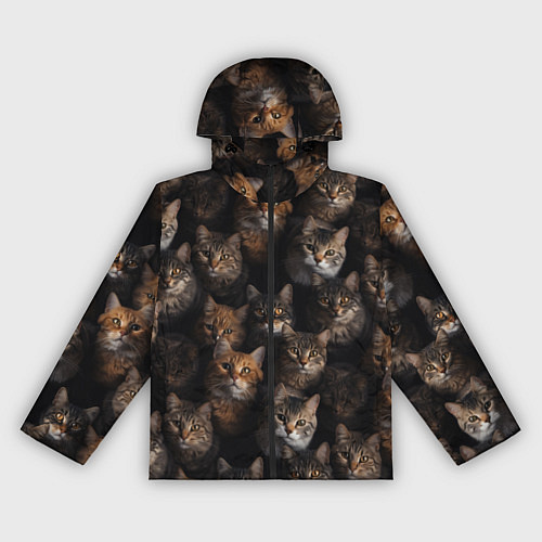 Женская ветровка Паттерн из котов / 3D-Черный – фото 1
