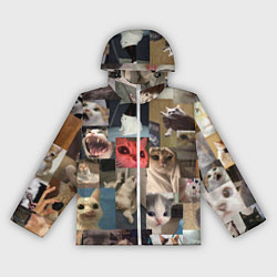 Ветровка с капюшоном женская Мемные котики, цвет: 3D-белый