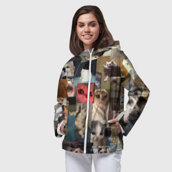 Ветровка с капюшоном женская Мемные котики, цвет: 3D-белый — фото 2