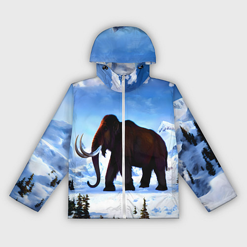 Женская ветровка Мамонт ледникового периода / 3D-Белый – фото 1