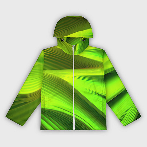 Женская ветровка Светлый зеленый абстрактный фон / 3D-Белый – фото 1