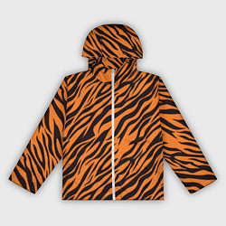 Ветровка с капюшоном женская Полоски тигра - tiger, цвет: 3D-белый