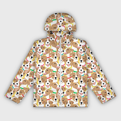 Женская ветровка Джек рассел терьер в разноцветных ошейниках / 3D-Белый – фото 1