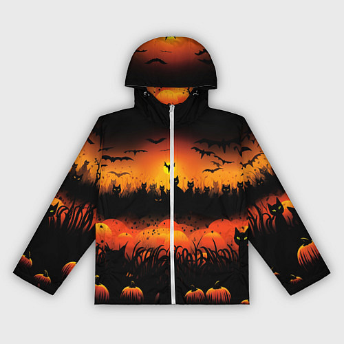 Женская ветровка Кошки хэллоуина / 3D-Белый – фото 1