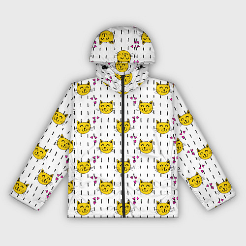 Женская ветровка Смешная кошка / 3D-Черный – фото 1