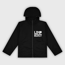 Ветровка с капюшоном женская Lim Bizkit logo, цвет: 3D-черный