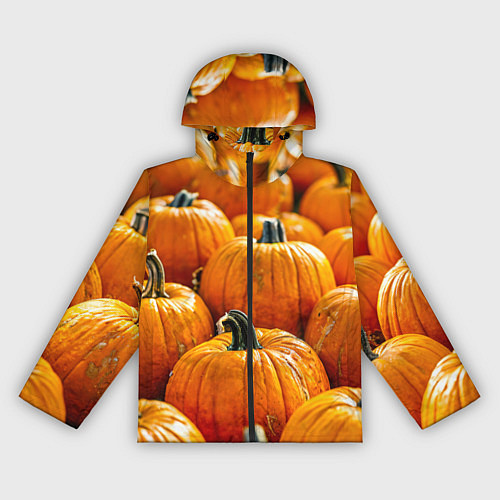 Женская ветровка Много тыкв / 3D-Черный – фото 1