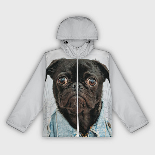 Женская ветровка Мопс в джинсовке - голова групно / 3D-Белый – фото 1